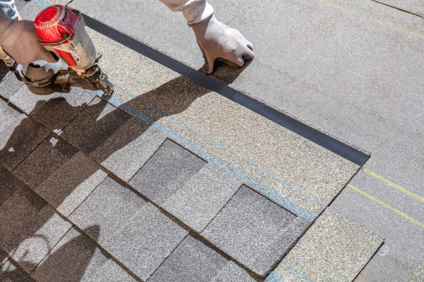 Best Roof Gutter Cleaning  in Nevada, TX