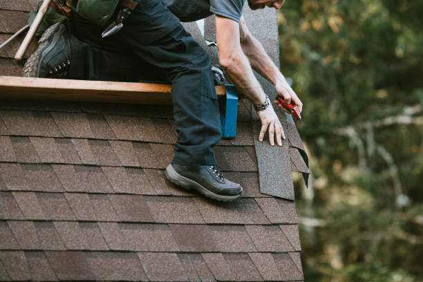 Best Roof Repair Services  in Nevada, TX